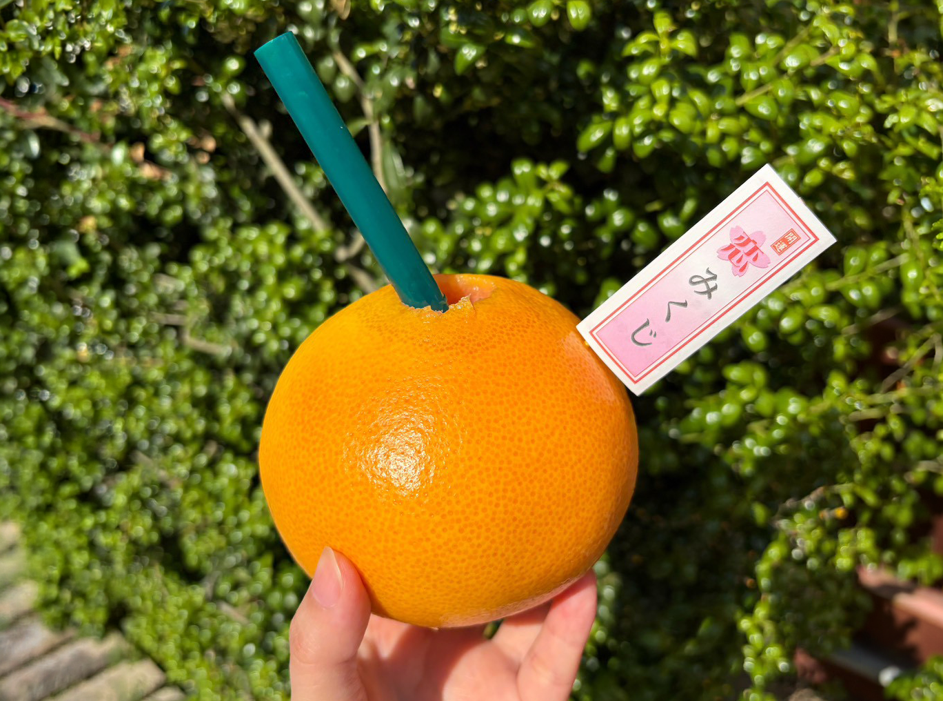 オレンジジュースの店